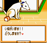 Hamster Paradise 3 (Japan) In game screenshot